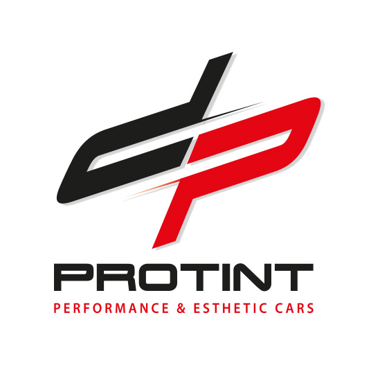 Création du logo de DP Protint, société basée à Reims (51)